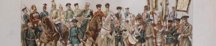 Praca zawiera kolorowe chromolitografie oraz ponad 200 ilustracji w kolorze czarnym w tekście.