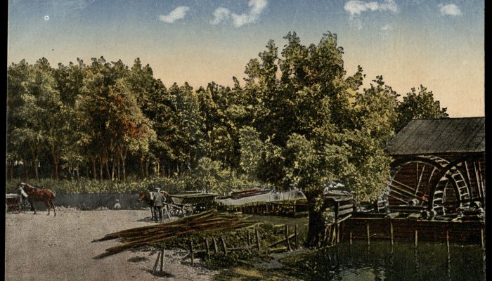 30. Widoki z Królestwa Polskiego 1917