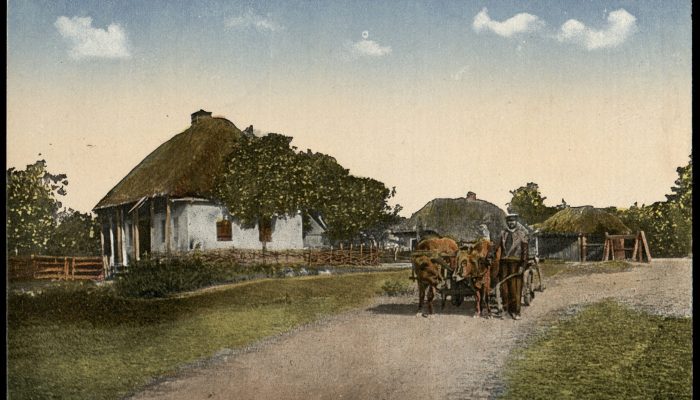 34 Widoki z Królestwa Polskiego 1917